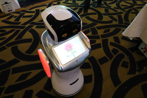 順應(yīng)時代，點(diǎn)燃夢想 騰瑪人工智能新品發(fā)布會暨開業(yè)盛典